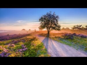 Beautiful Relaxing Music, Peaceful Soothing Music, "In the Place of Dreams" by Tim Janis