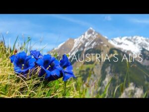 Beautiful Instrumental Hymns, Peaceful Soft Piano Music, "Austria Alps Morning Sunrise" By Tim Janis