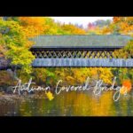 Autumn, Peaceful Instrumental Music, Relaxing soothing Music, "Autumn Bridges"  by Tim Janis
