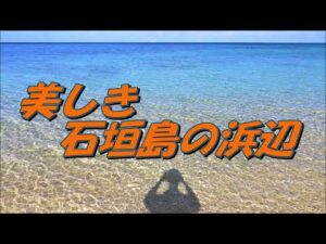 美しき石垣島の浜辺：BGM;「The Summer Sea」（Tim Janis）