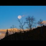 Beautiful Relaxing Music, Peaceful Soothing Instrumental Music, "In the Place of Dreams"by Tim Janis