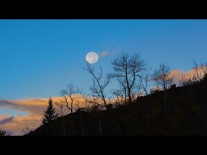 Beautiful Relaxing Music, Peaceful Soothing Instrumental Music, "In the Place of Dreams"by Tim Janis