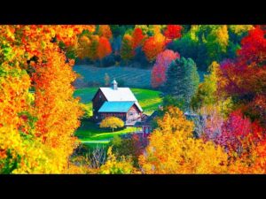 Beautiful Relaxing Music, Peaceful Soothing "Cozy Autumn Days in October" by Tim Janis