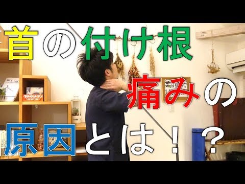 首の付け根に痛みが出てしまう原因を詳しく解説！｜柔YAWARA