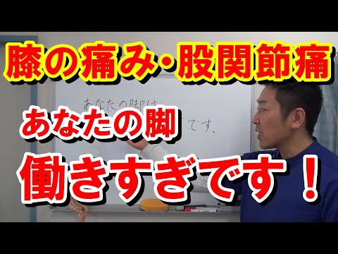 【膝・股関節痛】あなたの脚は働きすぎです！｜愛知県江南市の慢性痛専門整体院‐爽快館