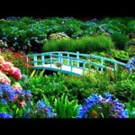 Peaceful Music, Relaxing Music, Instrumental Music with Flute and Piano "Afternoon Tea" by Tim Janis