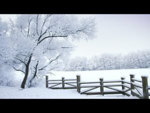 Beautiful Relaxing Guitar Hymns, Peaceful Instrumental Music, "Winter Peaceful Fields" by Tim Janis