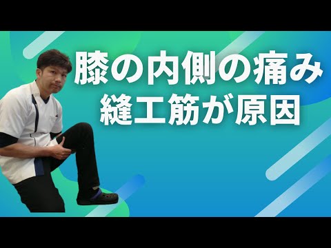 【膝の内側が痛くなる人】　縫工筋が原因かも
