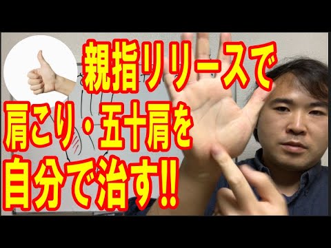 【五十肩を自分で治す】肩の痛みがスッキリする母指球リリースとは？【自力整体】