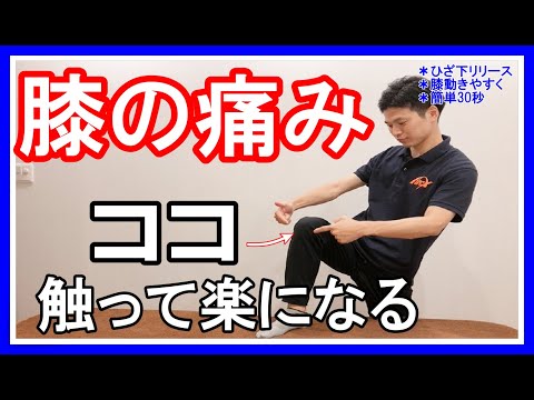 【ひざ痛専門家が教える】膝の痛みを解消する膝蓋下脂肪体ストレッチ｜大阪八尾市  アークス整骨院