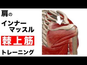 肩のインナーマッスルトレーニング【棘上筋】