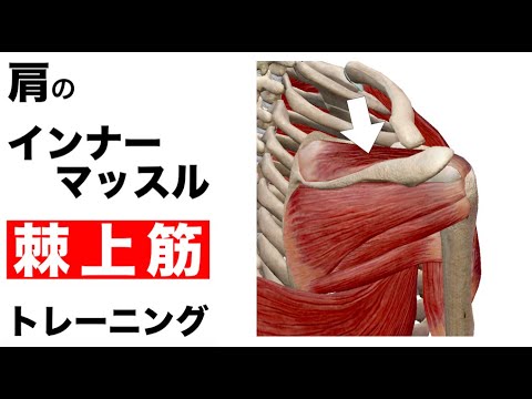 肩のインナーマッスルトレーニング【棘上筋】