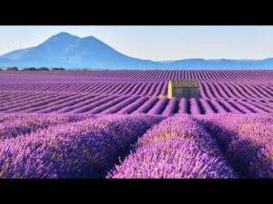 Beautiful Relaxing Music, Peaceful Soothing Music, "Springtime in Provence" by Tim Janis