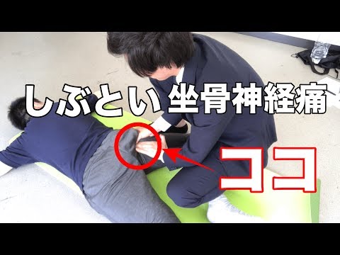 【坐骨神経痛 マッサージ】しぶとい坐骨神経痛にコレやって！