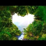 Happy Valentines Day, Beautiful Relaxing Music, Peaceful Music "Nature's Heart" by Tim Janis