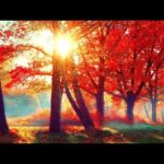 Beautiful Relaxing Music, Peaceful Soothing Instrumental Music, "Autumn Maple" by Tim Janis