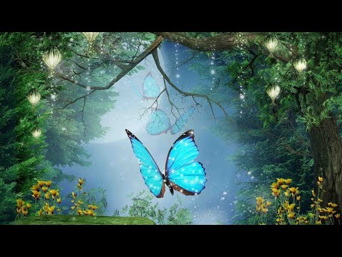 Beautiful Relaxing Music, Peaceful Soothing Instrumental Music, "In the Place of Dreams" Tim Janis.