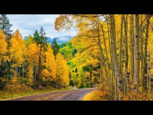 Beautiful Relaxing Music, Peaceful Instrumental Soothing Music "Autumn Country Road" By Tim Janis