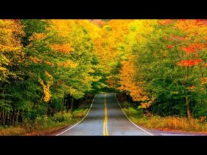 Beautiful Relaxing Guitar Hymns, Peaceful Piano Music, "Peaceful Autumn Morning Sunrise" Tim Janis