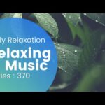 Relaxing Music 370- sleep, meditation, yoga, zen, spa, massage, study and concentration