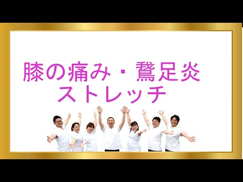 膝の痛み・鵞足炎のストレッチ　鵞足炎「和歌山の整体　MIYAI整体院」