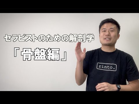 セラピスト向け解剖学【骨盤編】