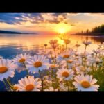 Beautiful Instrumental Hymns, Peaceful Music, "Summer Morning Sunrise" by Tim Janis
