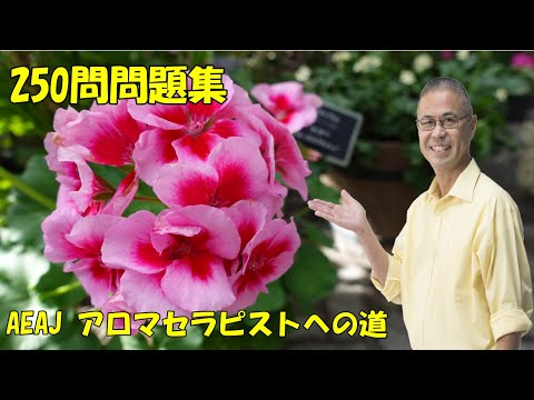 ＜13＞AEAJアロマセラピスト学科試験練習問題集【250問チャレンジ！】