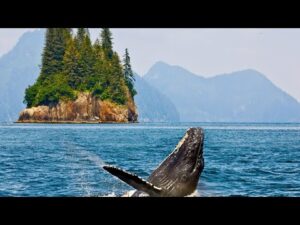 Beautiful Relaxing Music, Peaceful Soothing Music, "Alaskan Voyage" by Tim Janis