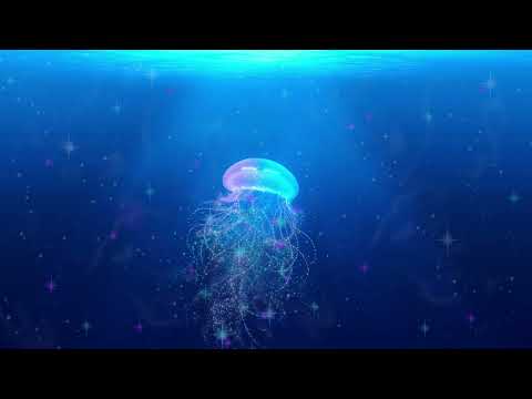 Relaxing Sleep Music | Deep Sleeping Music | Relaxing Music | Stress Relief | Meditation Music