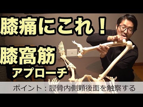 膝の痛みにこれはやるべき！な筋アプローチ