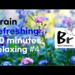 Brain refreshing 50 minutes relaxing #4 Relaxing Music for Sleeping and Dreaming. 릴렉싱 스트레스 명상