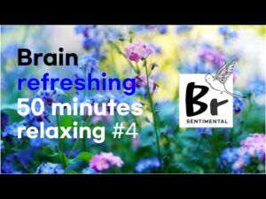 Brain refreshing 50 minutes relaxing #4 Relaxing Music for Sleeping and Dreaming. 릴렉싱 스트레스 명상