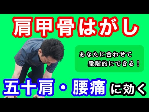 【肩甲骨ストレッチ】肩こり腰痛に効果的！肩甲骨はがし！大縄跳びエクササイズ 【愛知県一宮市　かずま整体院】