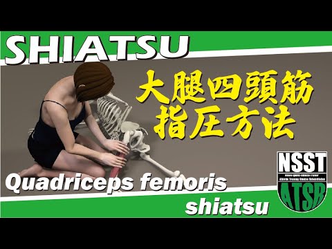大腿四頭筋指圧方法[あん摩マッサージ指圧師養成学校学習動画]