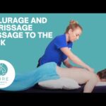 Foundation Massage Techniques – Effleurage and Petrisage to the back region