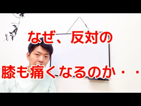 なぜ膝の痛みが解消されると反対側の膝が痛くなるのか？