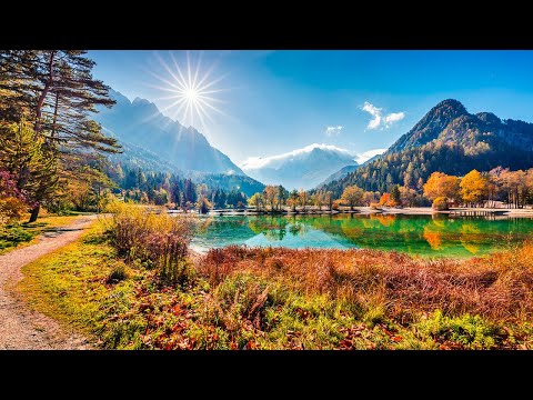 Soothing Music For The Nerves 🌿 Healing Music For The Heart, Blood Vessels And Relaxation  #34
