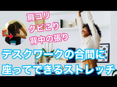 【座ってできるストレッチ】デスクワークの合間にガチガチの肩クビ背中をほぐす