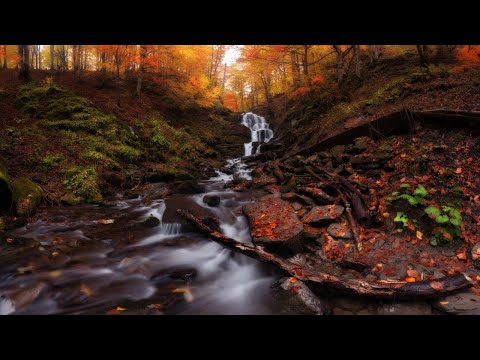 Relaxing Music, Meditation Music, Sleeping Music, Yoga Music, Spa Music, Study Music, Insomnia ☯001