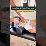 Erector & QL Massage for Low Back Pain #lowbackpain #massage