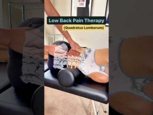 Erector & QL Massage for Low Back Pain #lowbackpain #massage