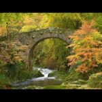 Beautiful Relaxing Hymns, Peaceful  Instrumental Music, "Spring in Ireland" By Tim Janis
