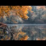 Peaceful Music, Relaxing Music, Instrumental Music, "Beautiful Autumn Lake" by Tim Janis