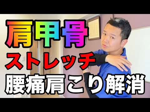 【肩甲骨ストレッチ】ガチガチ肩甲骨をゆるゆるにしましょう　｜横浜市　戸塚　東戸塚　大和市　町田市　相模原市で腰痛肩こりでお悩みなら整体院AIN-アイン-へ